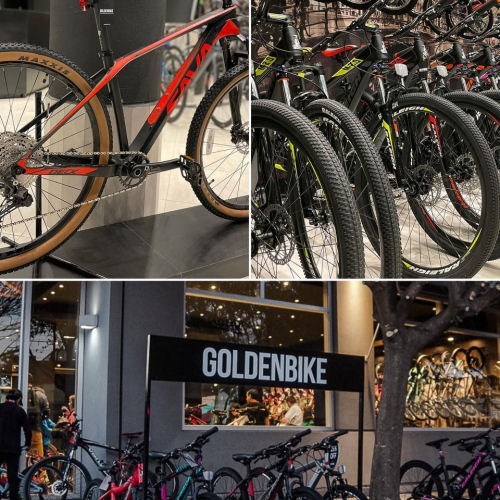 SALTA - GOLDEN BIKE